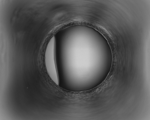 X0000094420776200711080958