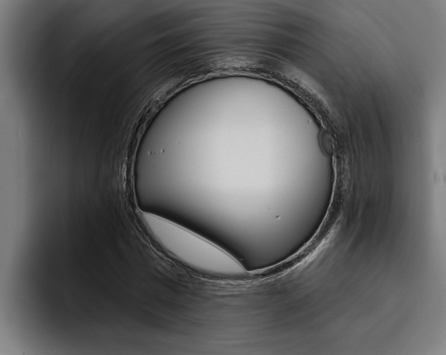 X0000094420777200711080958