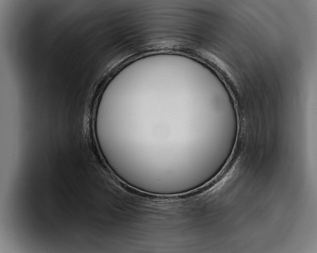 X0000094420778200711080958