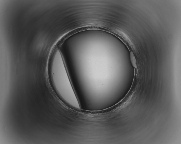 X0000094420780200711080958