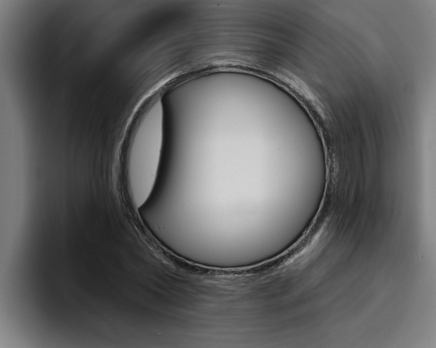 X0000094420782200711080958
