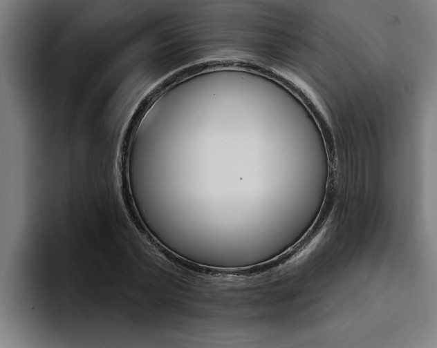 X0000094420783200711080958