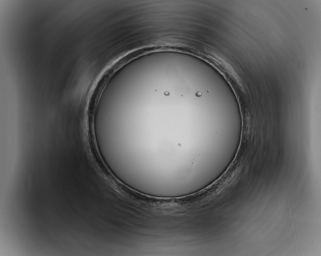 X0000094420784200711080958