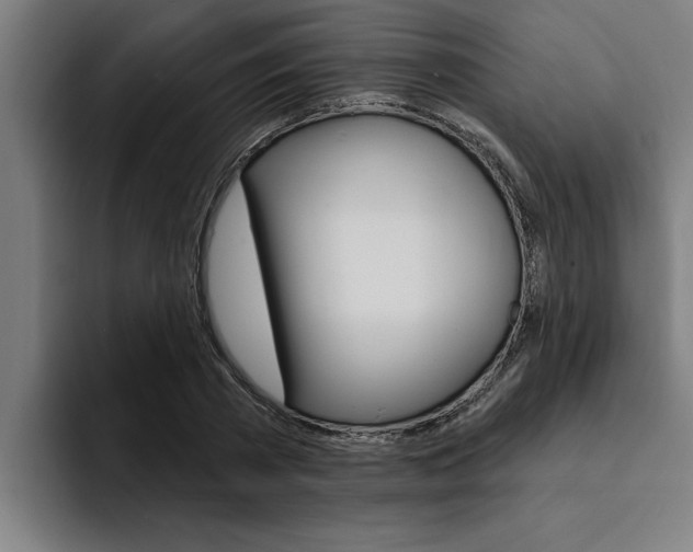 X0000094420785200711080958