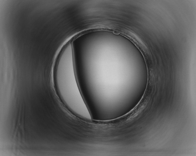 X0000094420788200711080958