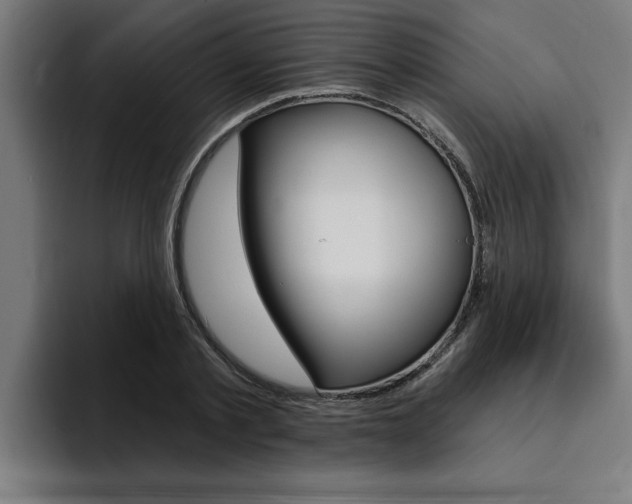 X0000094420789200711080958