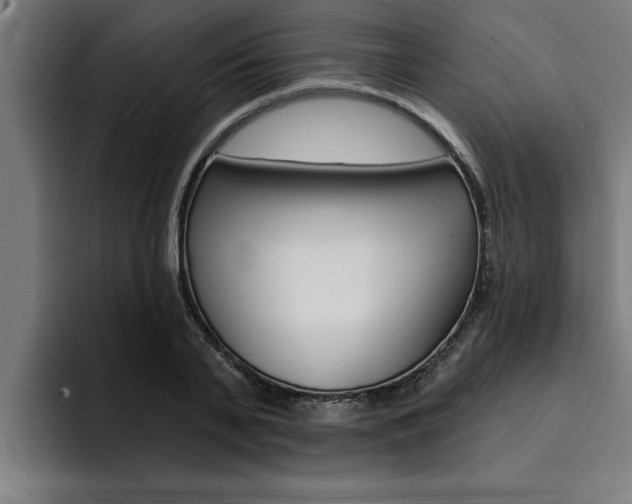 X0000094420791200711080958