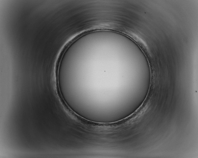 X0000094420792200711080958
