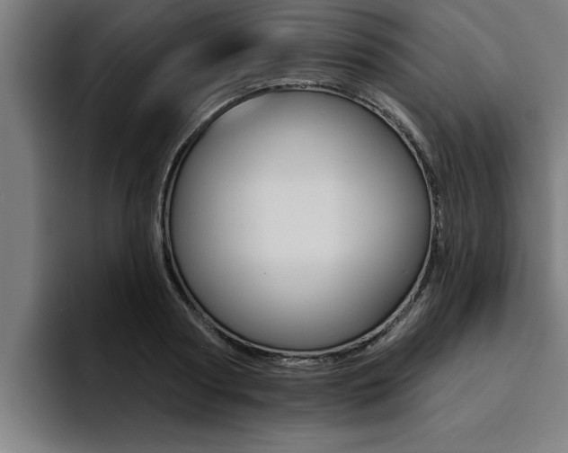 X0000094420794200711080958