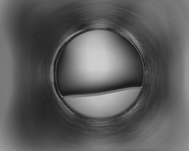 X0000094420795200711080958