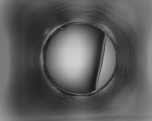 X0000094420796200711080958