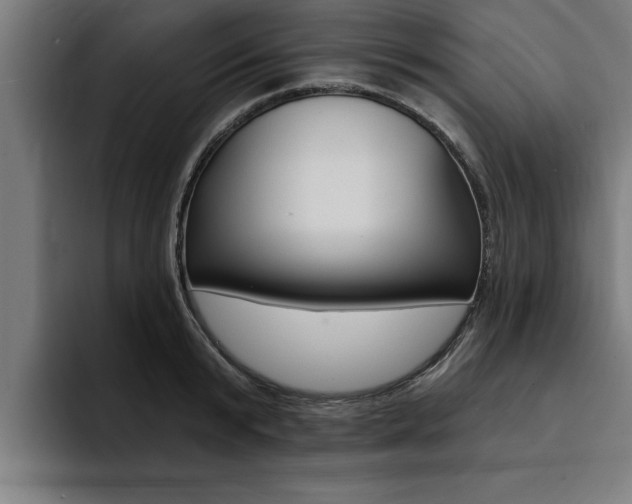 X0000094420799200711080958