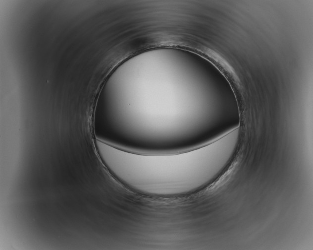 X0000094420801200711080957