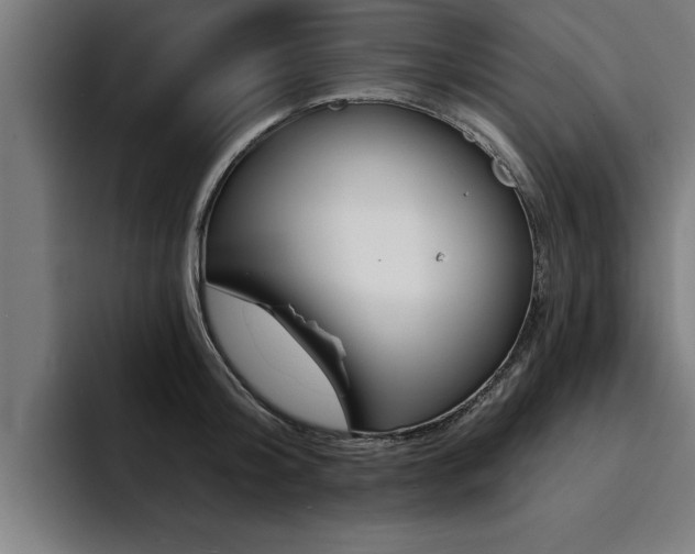 X0000094420804200711080957