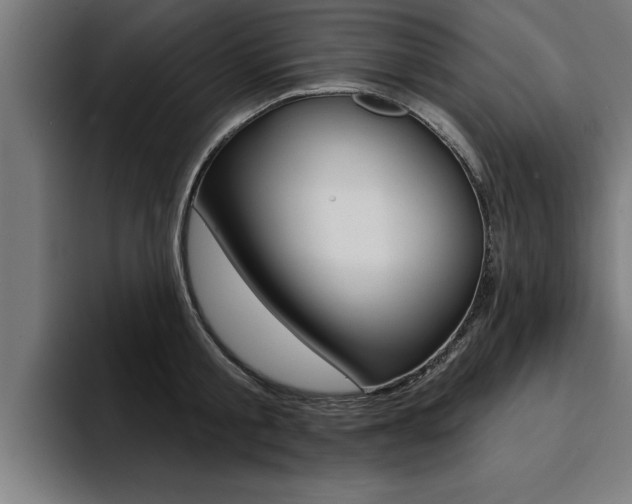 X0000094420805200711080957