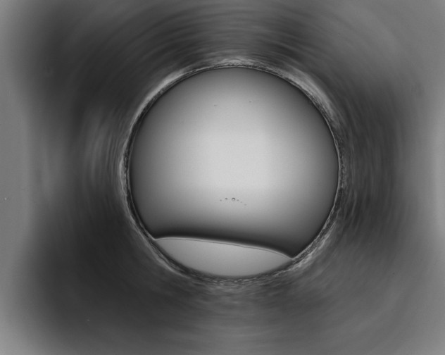 X0000094420806200711080957