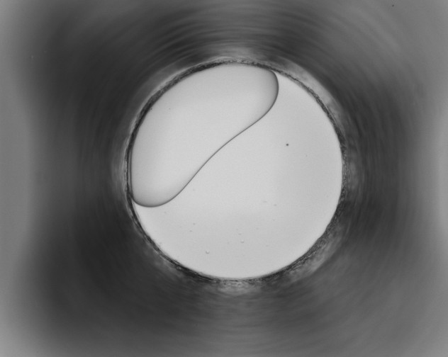 X0000094420807200711080957