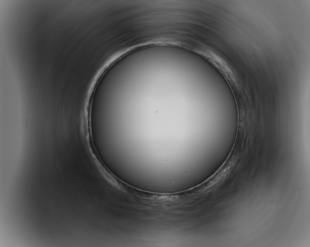 X0000094420808200711080957