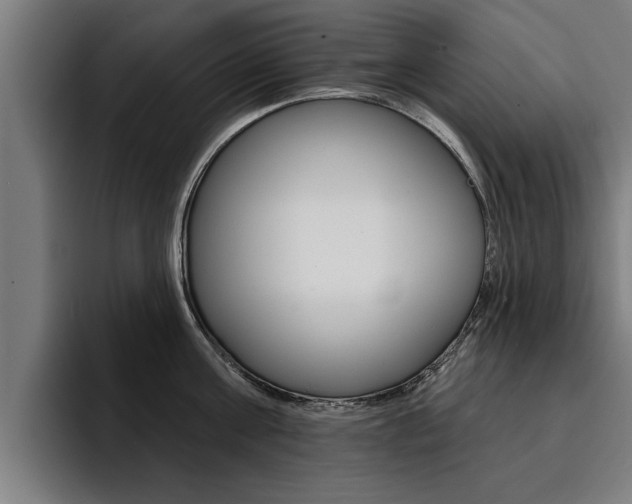 X0000094420811200711080957