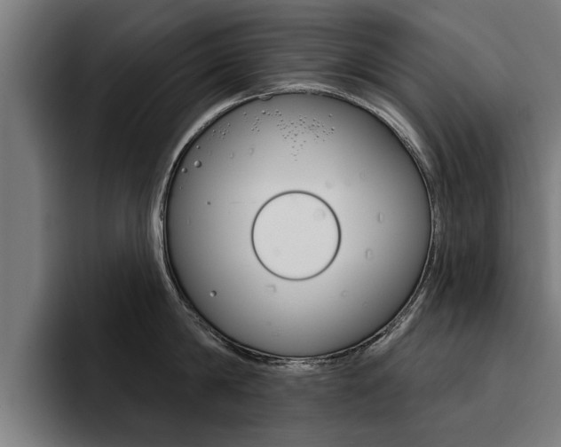 X0000094420814200711080957