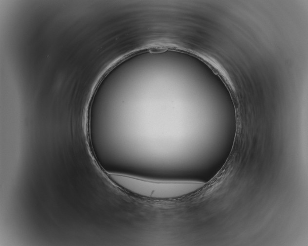 X0000094420815200711080957