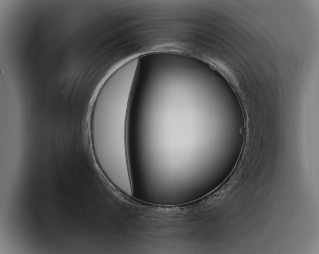 X0000094420816200711080957