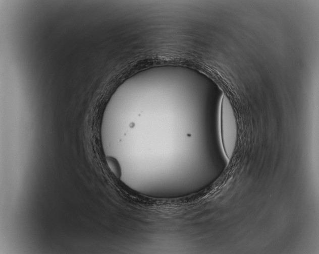 X0000094420817200711080957