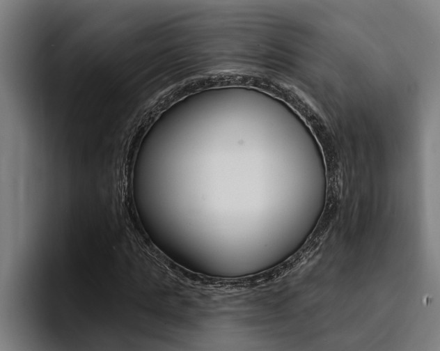 X0000094420821200711080957