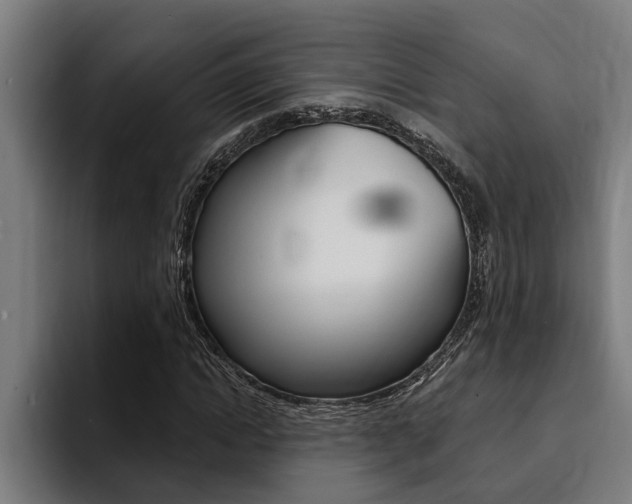 X0000094420822200711080957