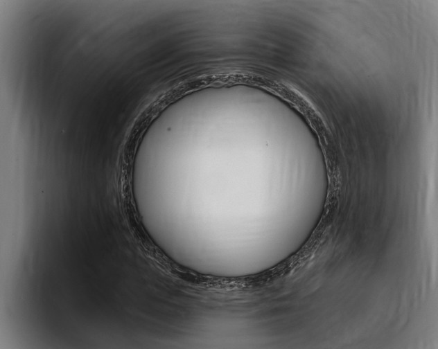 X0000094420823200711080957
