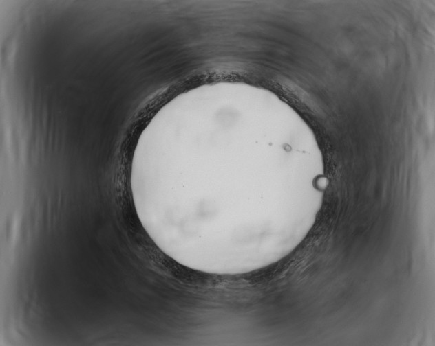 X0000094420824200711080957