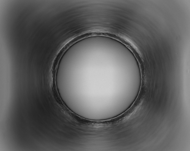 X0000094420829200711080957