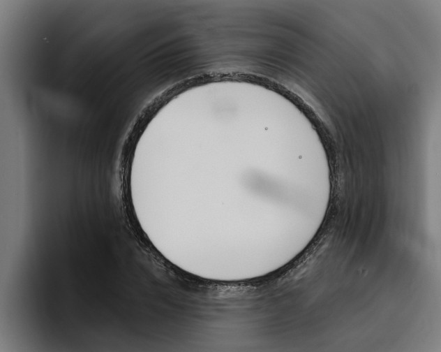 X0000094420832200711080957