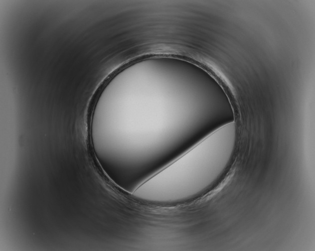 X0000094420837200711080957