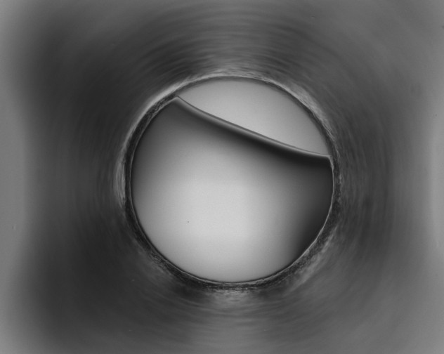 X0000094420838200711080957