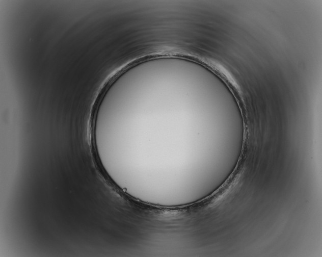 X0000094420839200711080957