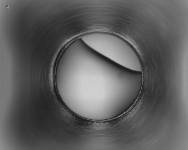 X0000094420840200711080957