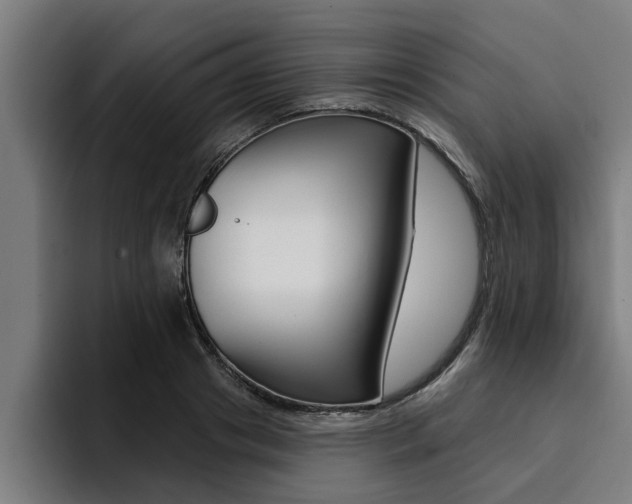 X0000094420841200711080957