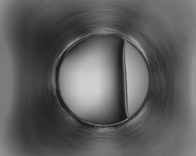 X0000094420843200711080957