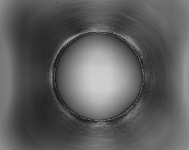 X0000094420846200711080957