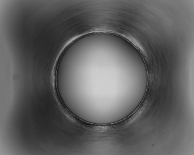 X0000094420854200711080957