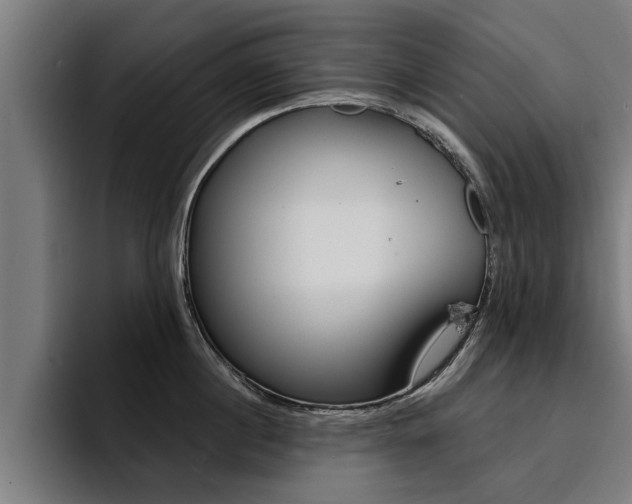 X0000094420860200711080957