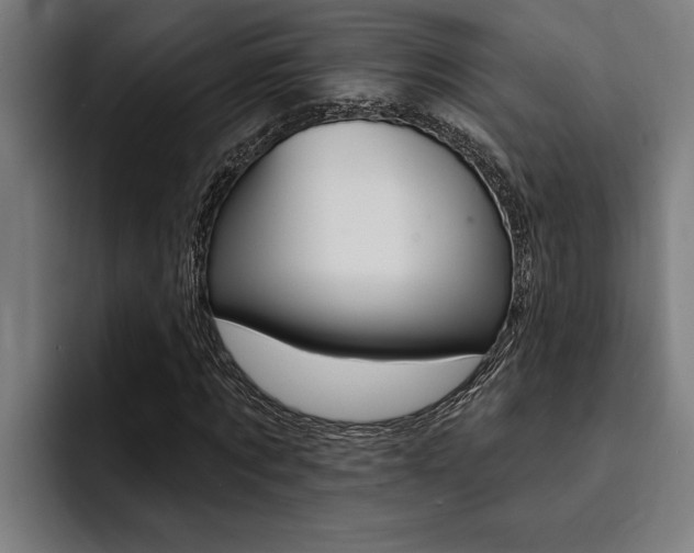 X0000094420869200711080957