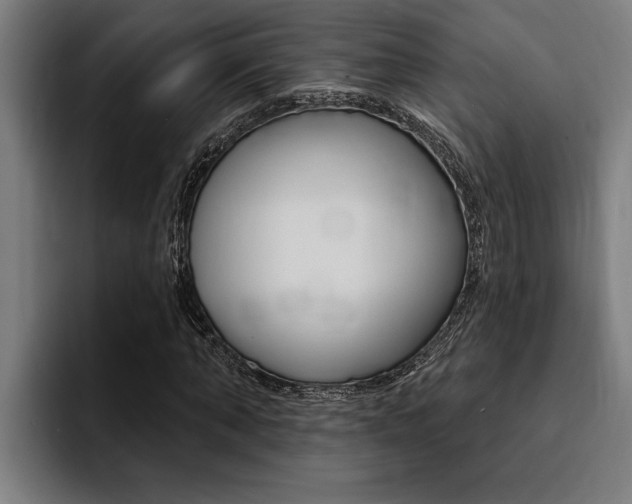 X0000094420870200711080957
