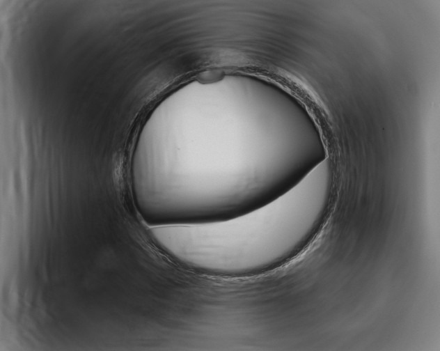 X0000094420873200711080957