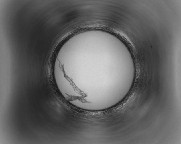 X0000094420874200711080957