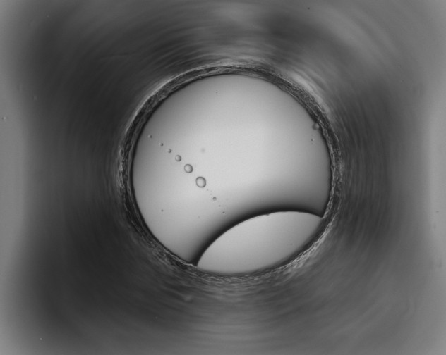 X0000094420875200711080957