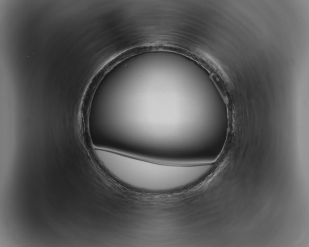 X0000094420876200711080957