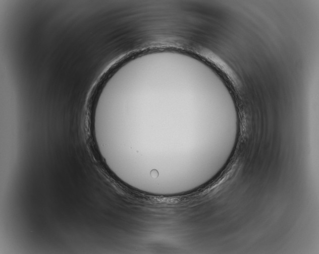X0000094420878200711080956