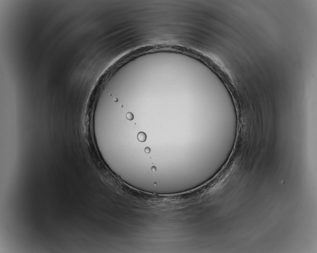 X0000094420879200711080956